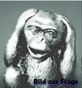 Bild zur Frage